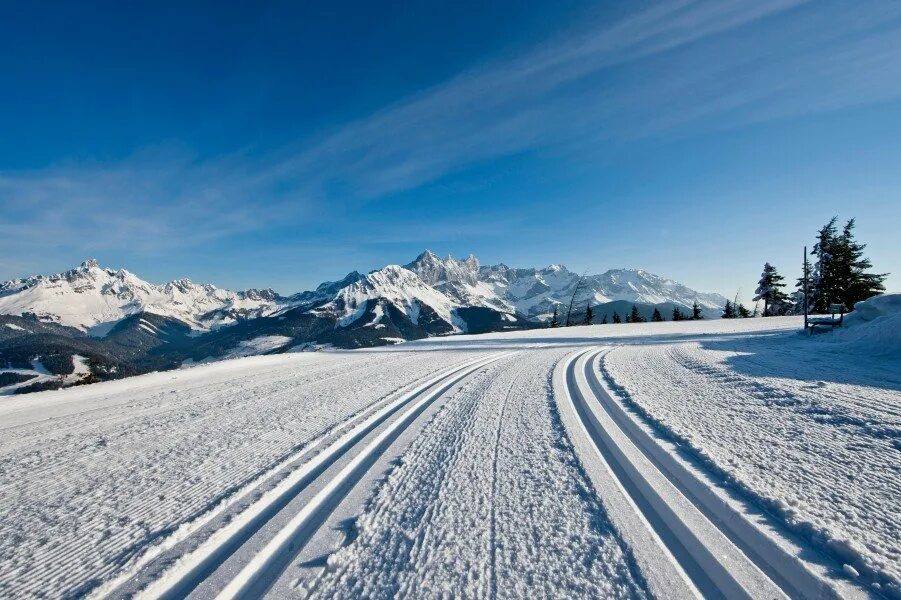 Skiing track. Cross Country Skiing. Ski track.