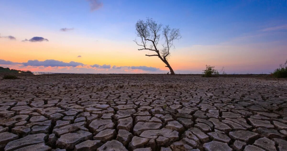 Глобальное потепление в Африке. Drought Syrdarya. Droughts and Floods. Drought Blueberry.