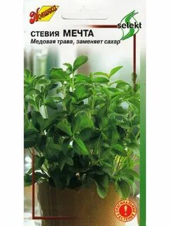 Стевия семена