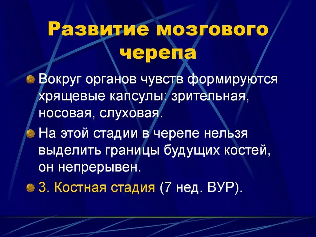 Развитие мозгового черепа