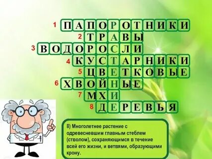 Споровое растение сканворд 5 букв