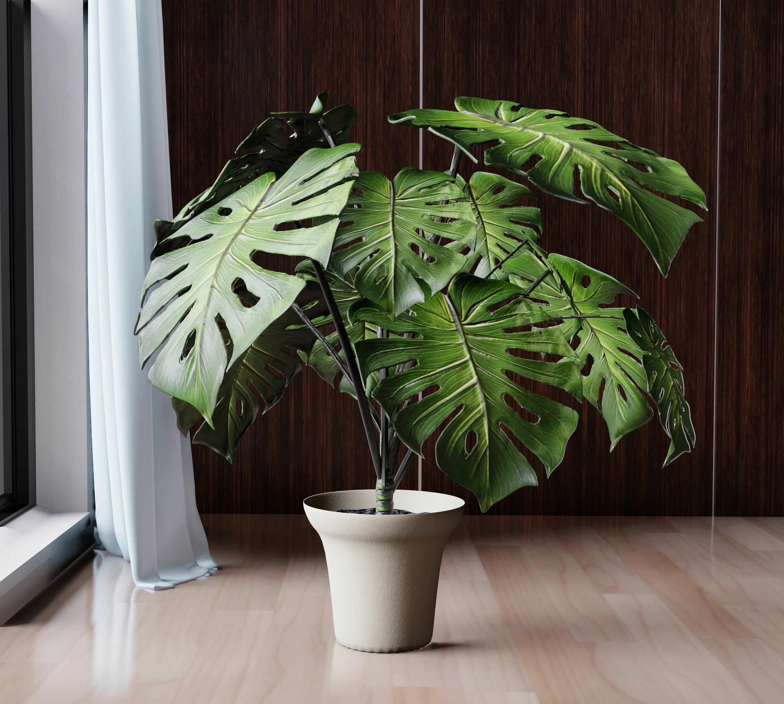 4 Reasons To Use Indoor Plants and Succulents for your Home or Workpla Indoor tr