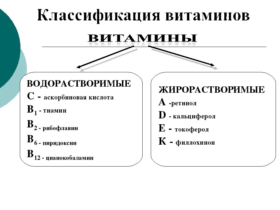 Схема классификации витаминов жирорастворимые. Классификация витаминов схема. Витамины жирорастворимые и водорастворимые и водорастворимые. Схема водорастворимые и жирорастворимые витамины. К водорастворимым витаминам относят