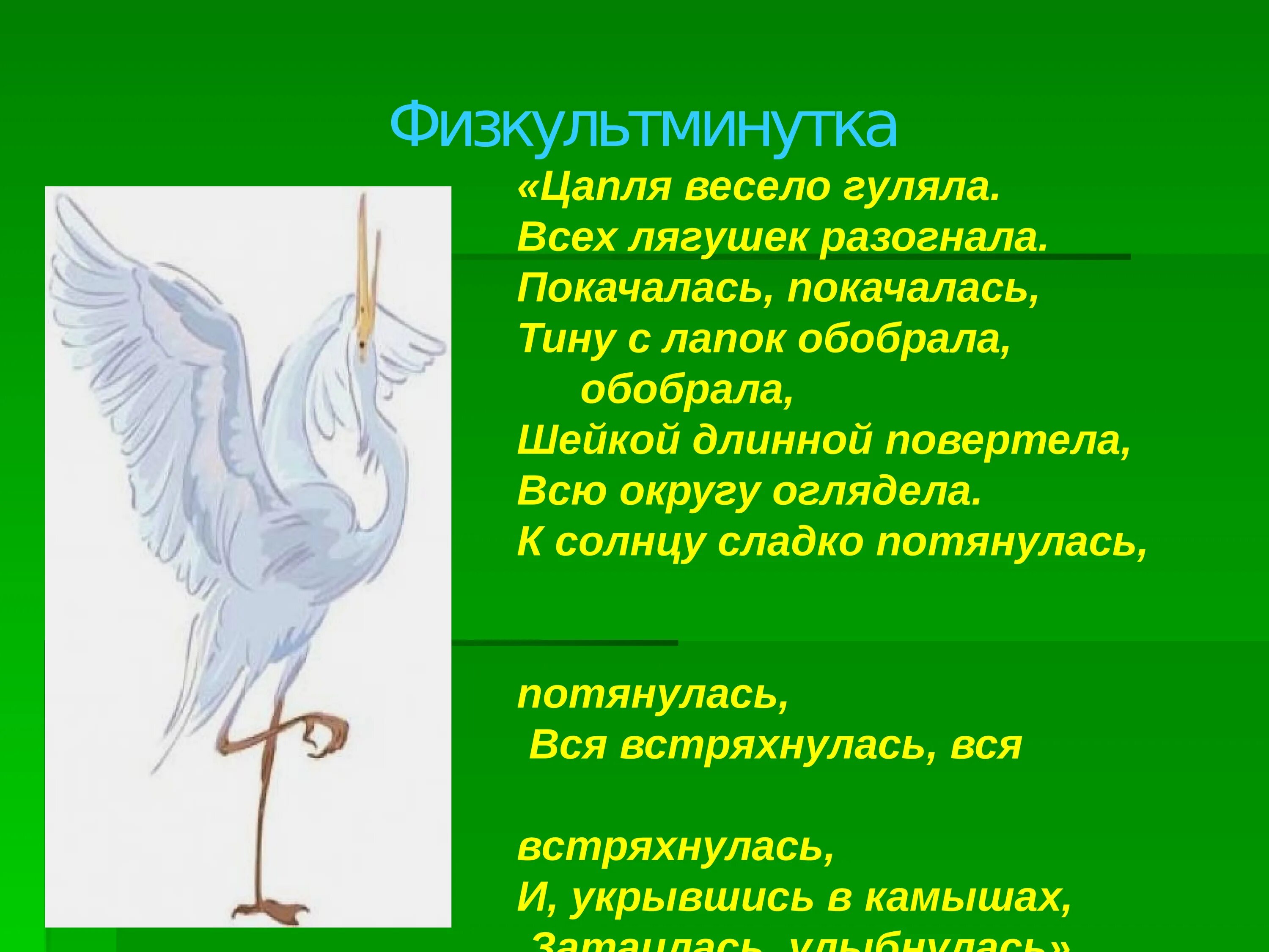 Цапля кумир. Физминутка цапля. фищкульминутка про цапл. физкультминутка цапля весело гуляла. физминутка про цаплю для детей.