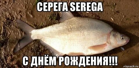 Сережа рыба