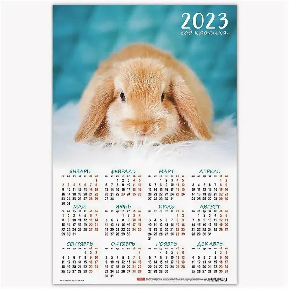 Календарь настен.,2022,450х590,Символ года5,мелов,2800010 16 шт. - купить по выг