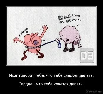 Песня сердце кричит он конченый хочу разум