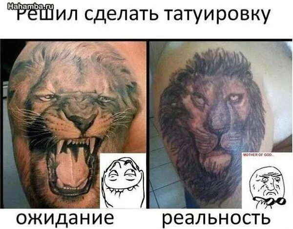 Решился делай