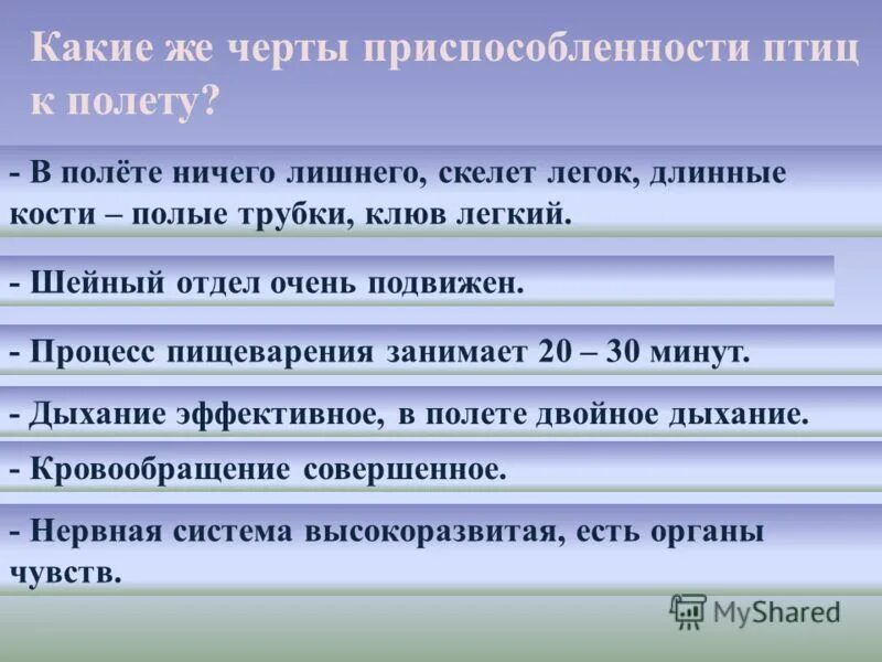 Приспособленность птиц к полету. Приспособления птиц к полету. Приспособления птиы к полёту. Препосслабленик птптиц к палету. Приспособления птиц к полёте.
