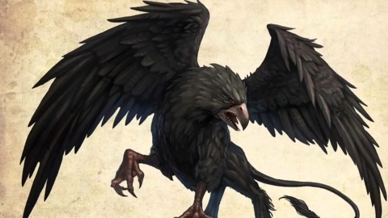 Грифон рисунок. Ворон арт. Грифон ворона. Грифон-орлан. Insane black gryphon.
