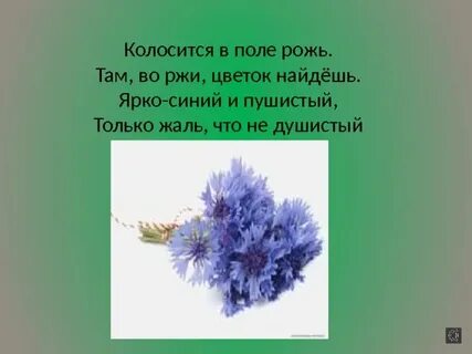 Синие загадки