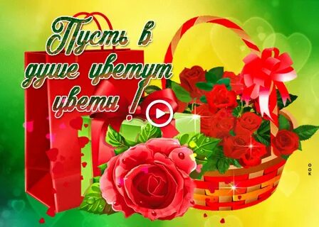 Пусть в душе цветет любовь