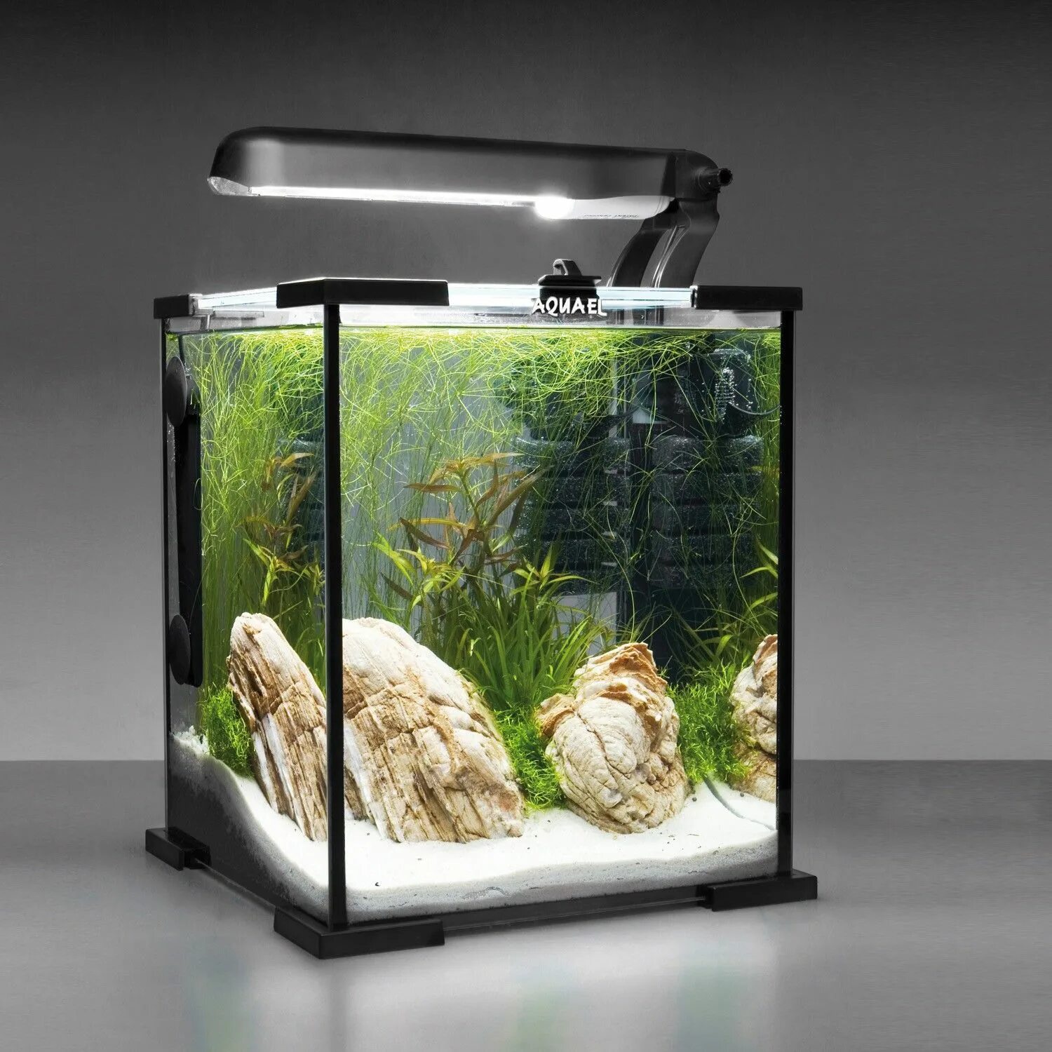 Аквариум 20 литров аквапанорама. Аквариум панорамный 35 литров. Аквариум 6 л. Аквариум прямоугольный 85л 795. Аквариум 20 20 25.