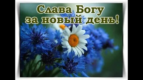 Благословенного утра и прекрасного дня картинки христианские