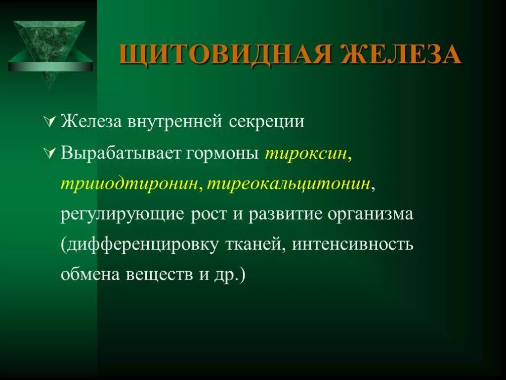 Железа вырабатывающая гормон тироксин железы внутренней секреции. Роль гормонов в обмене, росте и развитии организма. Таблица по биологии функции желез внутренней секреции. Тироксин интенсивность обмена веществ. Какие железы вырабатывают тироксин