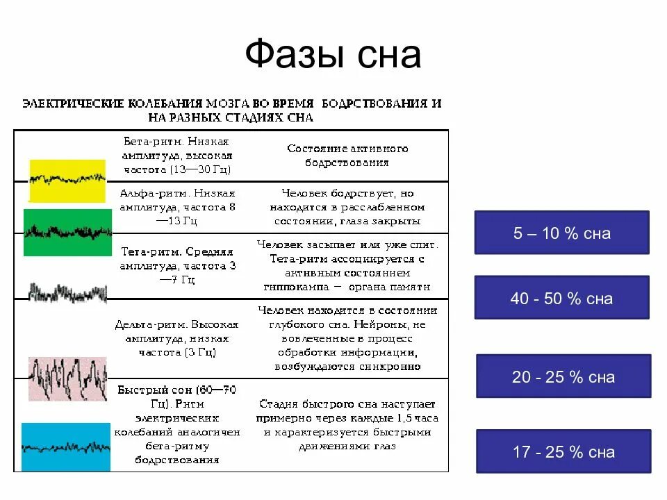 Фазы сна время таблица. 5 Фаз сна. Стадии сна. Фазы и стадии сна. Этапы сна человека.