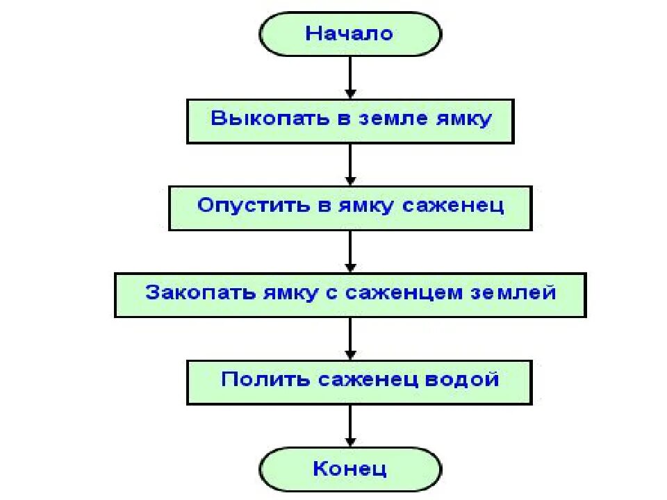 Блок схема линейного алгоритма в информатике. Привести блок схему линейного алгоритма. Линейный алгоритм блок схема 6 класс. Блок схема линейного алгоритма по информатике.