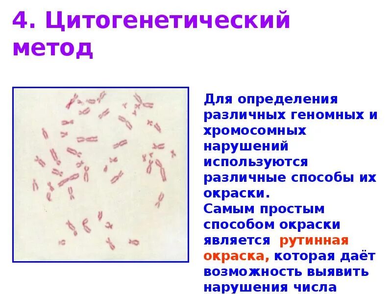 Цитогенетический метод. Цитогенетический метод в генетике человека. Цитогенетический метод диагностики. Цитогенетический метод используют для определения.