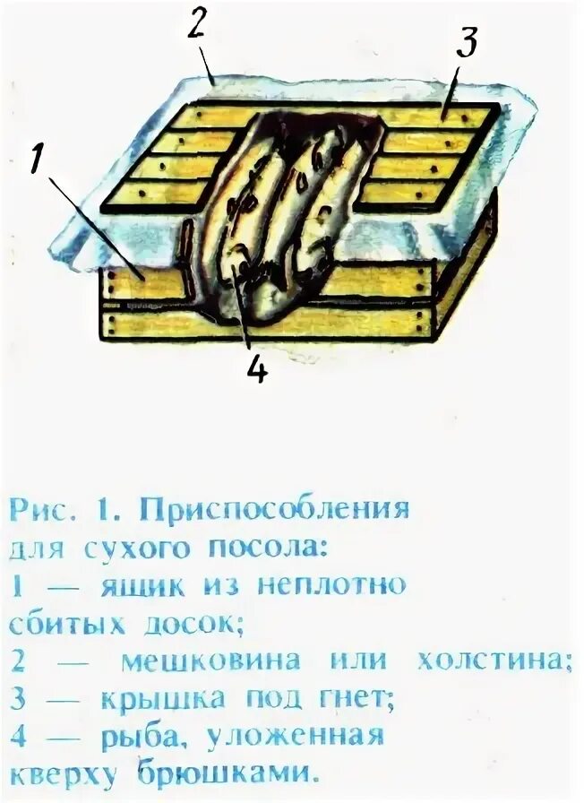 Ящик для сухого посола. Сухой посол рыбы в деревянном ящике. Ящик для сухого посола рыбы. Деревянный ящик для сухого посола. Приспособление для сухого посол рыбы.