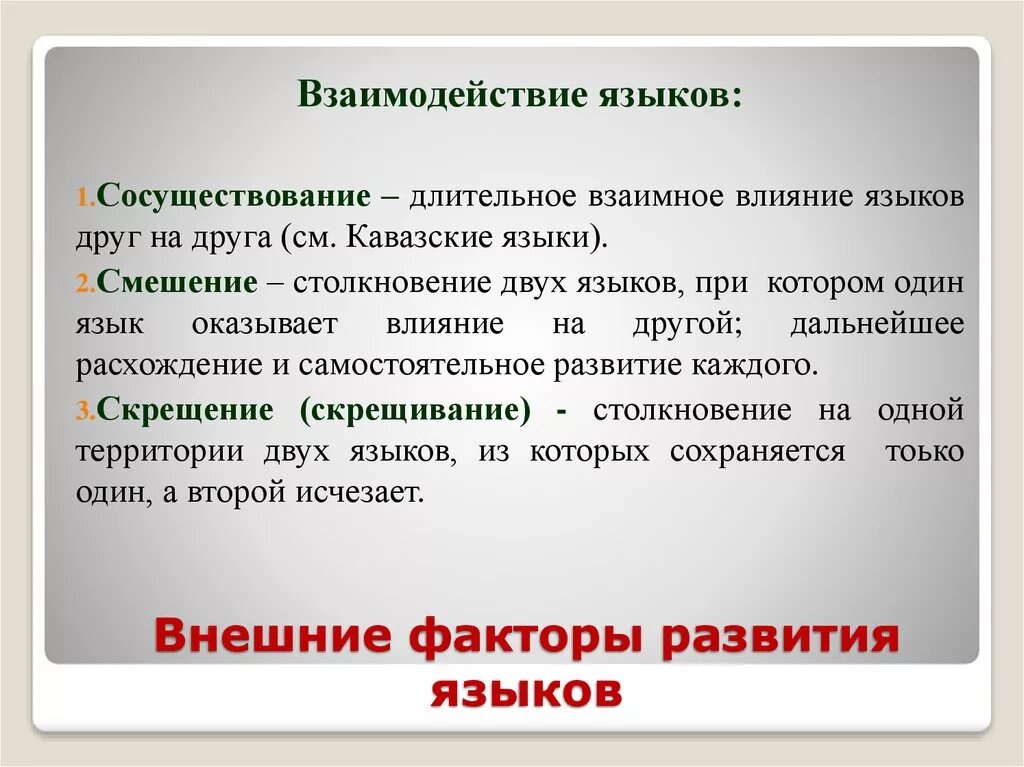 Взаимовлияние языка и культуры. Взаимосвязь языков. Формы взаимодействия языков Языкознание. Внешние факторы развития языка. Основные типы взаимодействия языков.