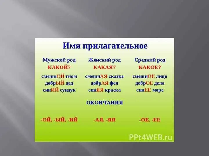 Падежи существительных среднего рода. Падежи существительных среднего рода