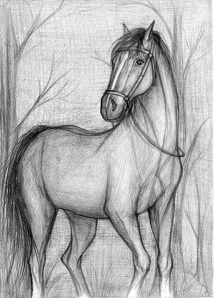 Нарисовать рисунок карандашом. Картины карандашом. Конь карандашом. Нарисовать лошадь карандашом. Лошадь рисунок карандашом.