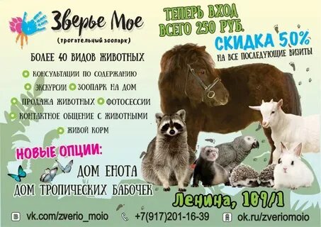 Зоопарк скидки в день рождения
