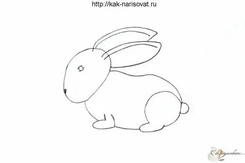 Зайчик 2 класс