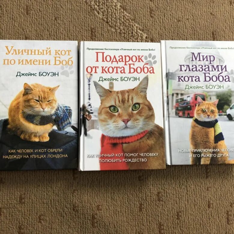 Книга про кота читать. Уличный кот по имени Боб книга. Уличный кот по кличке Боб книга. Рыжий кот по имени Боб книга.