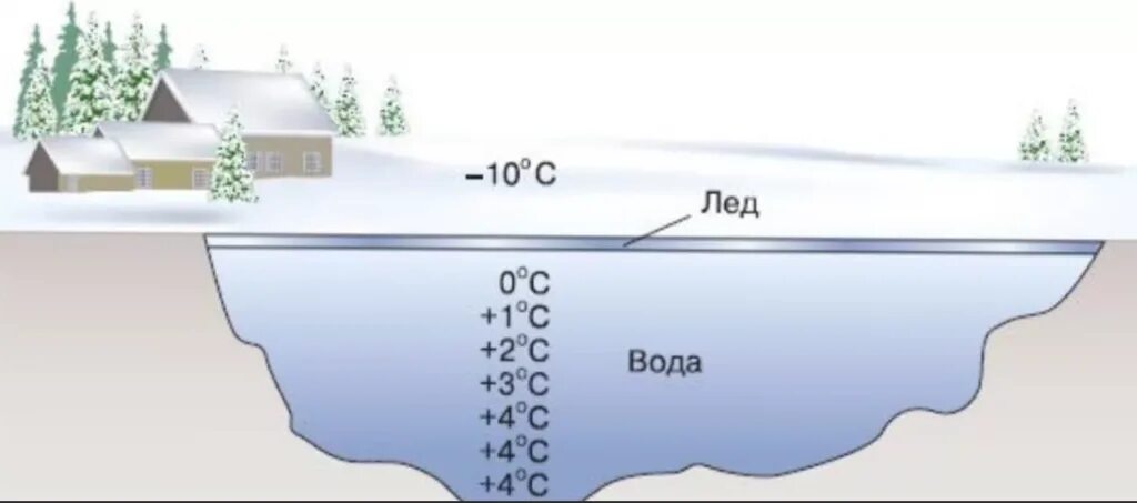 Яма на дне озера 5. Температура воды подо льдом. Температура воды зимой подо льдом. Температура воды зимой подо льдом в озере. Промерзание воды в водоемах.