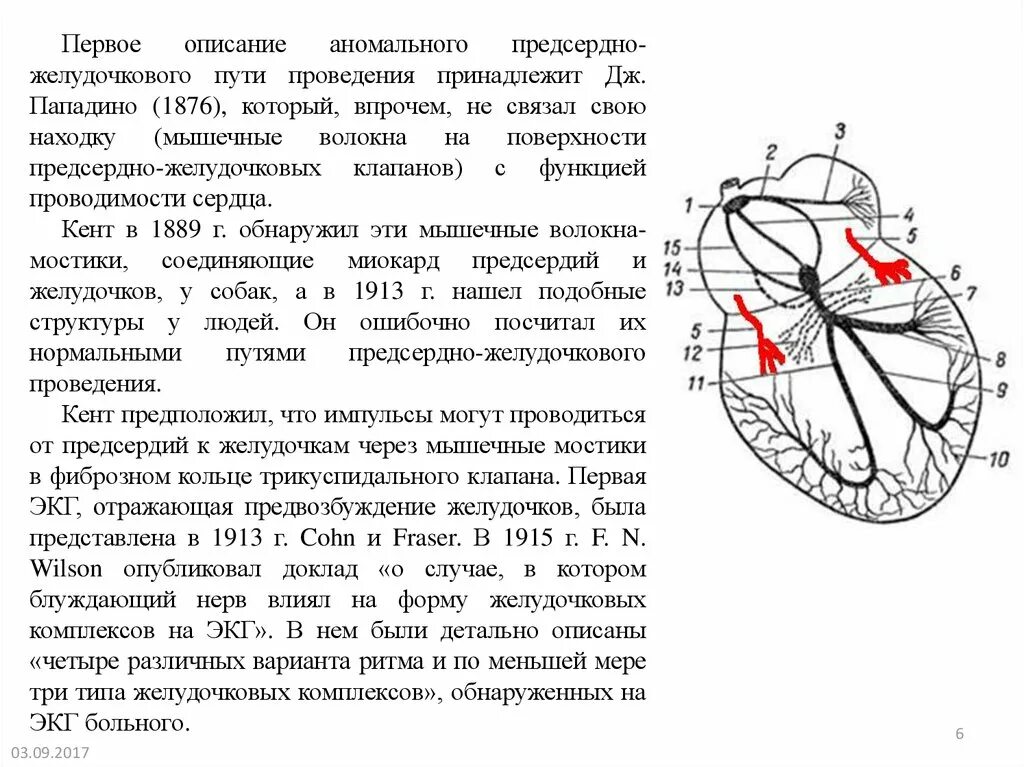 Предвозбуждение желудочков на ЭКГ. Предвозбуждение желудочков типы. Проводящая система сердца ЭКГ. Синдром предвозбуждения желудочков на ЭКГ. Клапан правого предсердно желудочкового отверстия