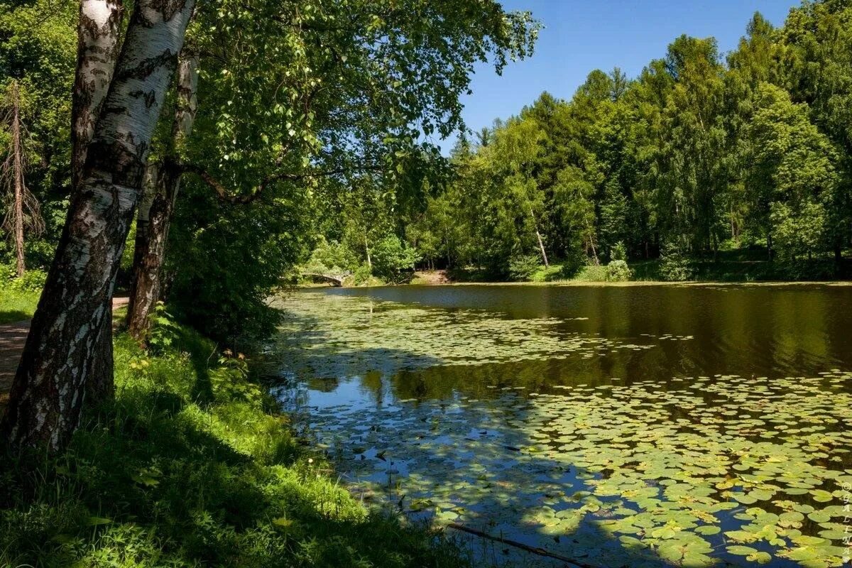 Лента по интересам - Природа - 3994437 - Tabor.ru