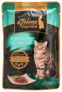 Feline корм для кошек