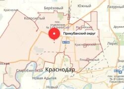 Цветы краснодар на карте. Цветы краснодар на карте. Рашпилевская 117 краснодар. Цветы краснодар на карте. Смешная карта краснодара по районам.
