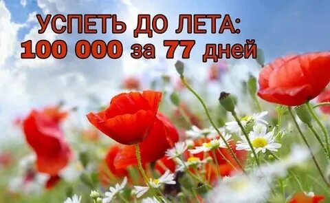 Когда будет 100 дней лета