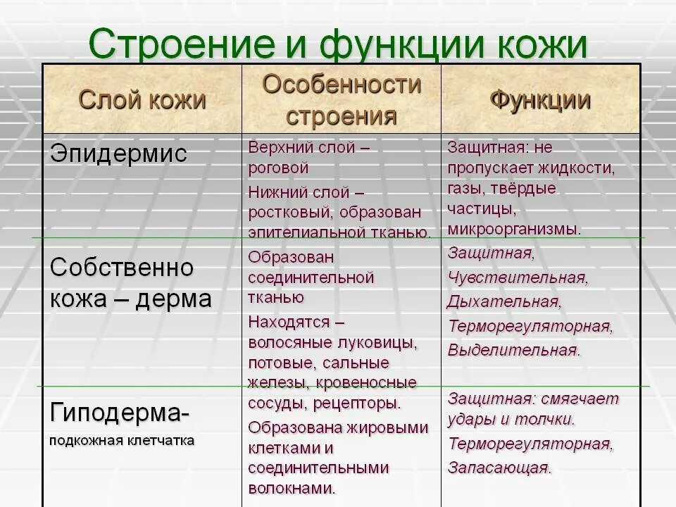 Функция слоя