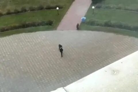 Стрельба в скольких