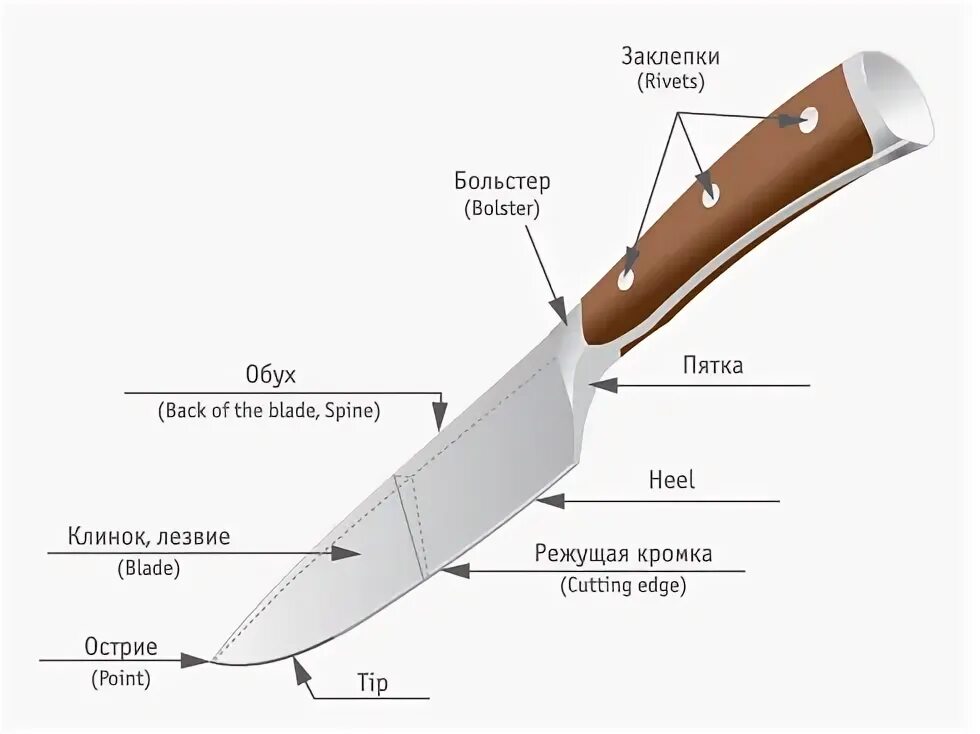 Какое лезвие для ножа. Наименование основных конструктивных элементов ножа. Схема кухонного ножа криминалистика. Чертеж клинка ножа пчак. Конструктивные элементы ножа криминалистика.