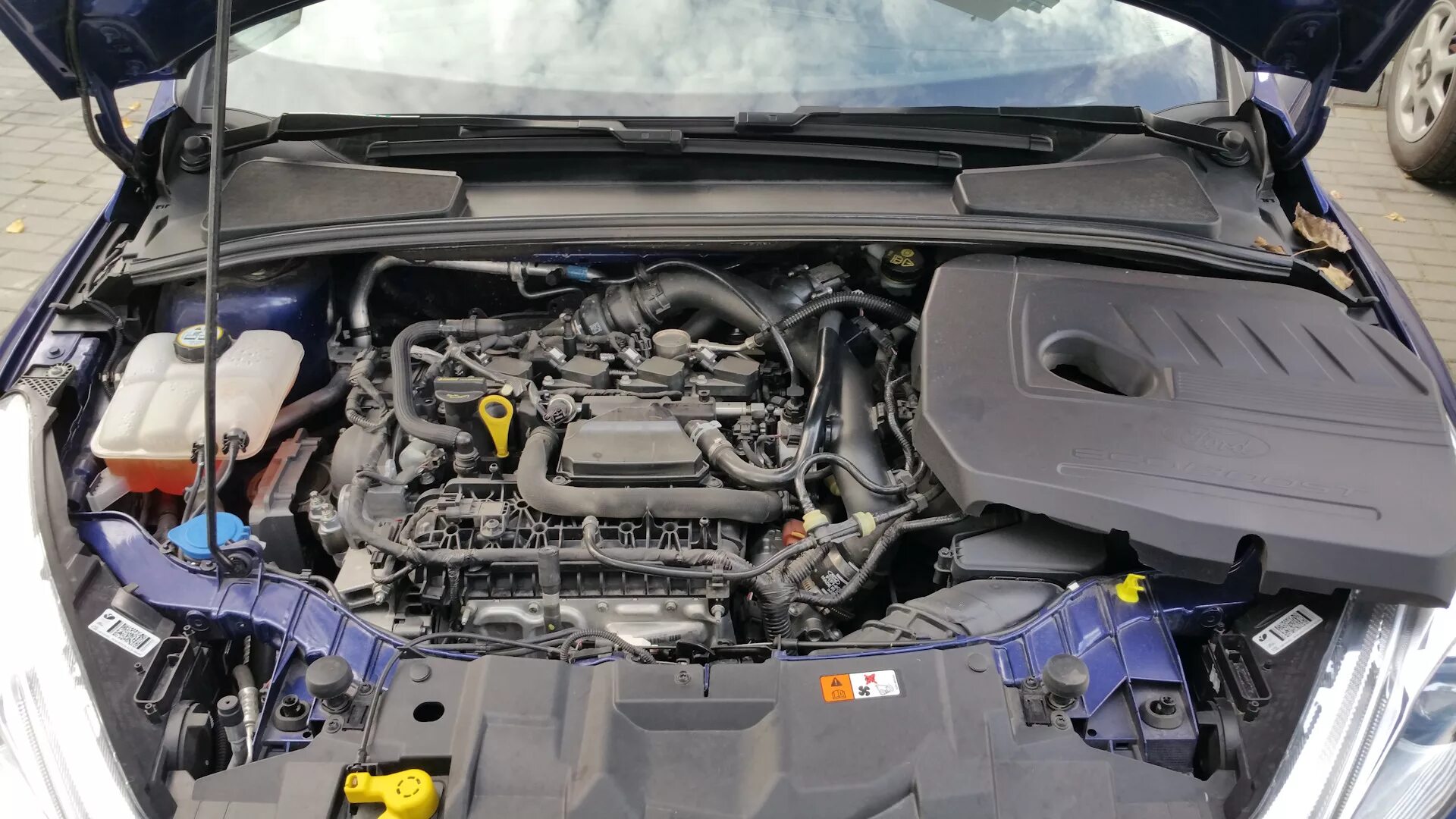 Ford focus ecoboost 1. Фокус 1. 5 ecoboost 150. Мотор форд фокус 1. С.