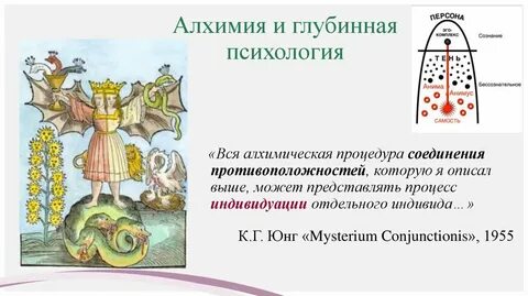 Аниму и анимус