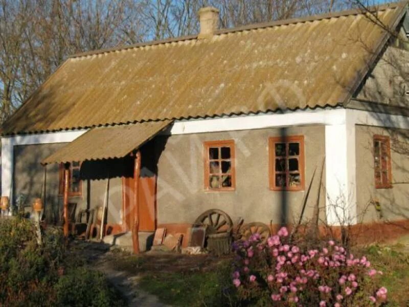 новости ивановки херсонской обл. сельскохозяйственная выставка. село ивановка херсонская. байконур улица мира 3. новости ивановки херсонской обл.