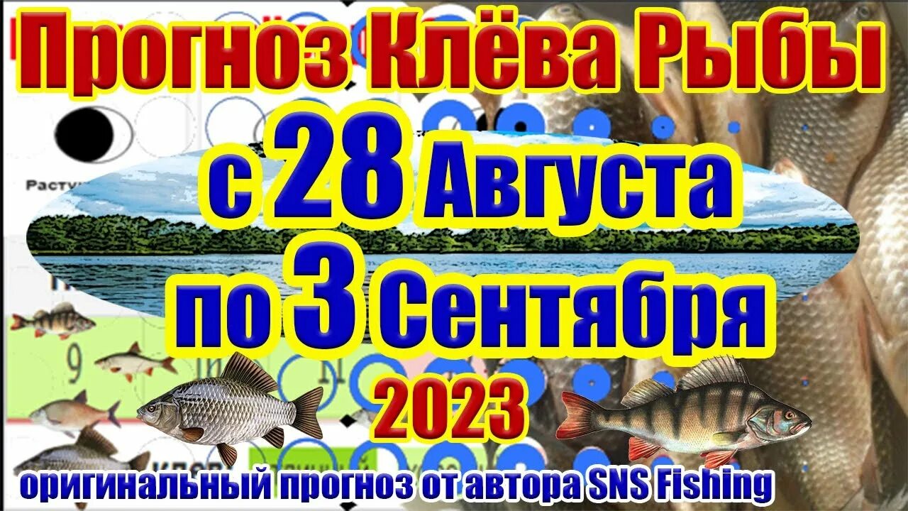 Лунный календарь клева рыбы на 2024 март. Календарь рыбака 2023. Календарь рыболова. Календарь клёва рыбы на 2022 год. Рыболову любителю календарь рыболова КБ 20 27 89.