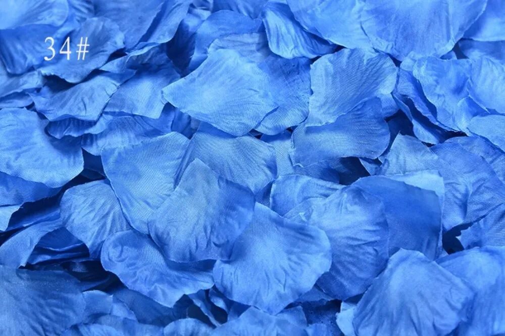 Айс см. Голубой лепесток. Голубые лепестки роз. Лепестки роз синего цвета. Голубые лепестки на белом.