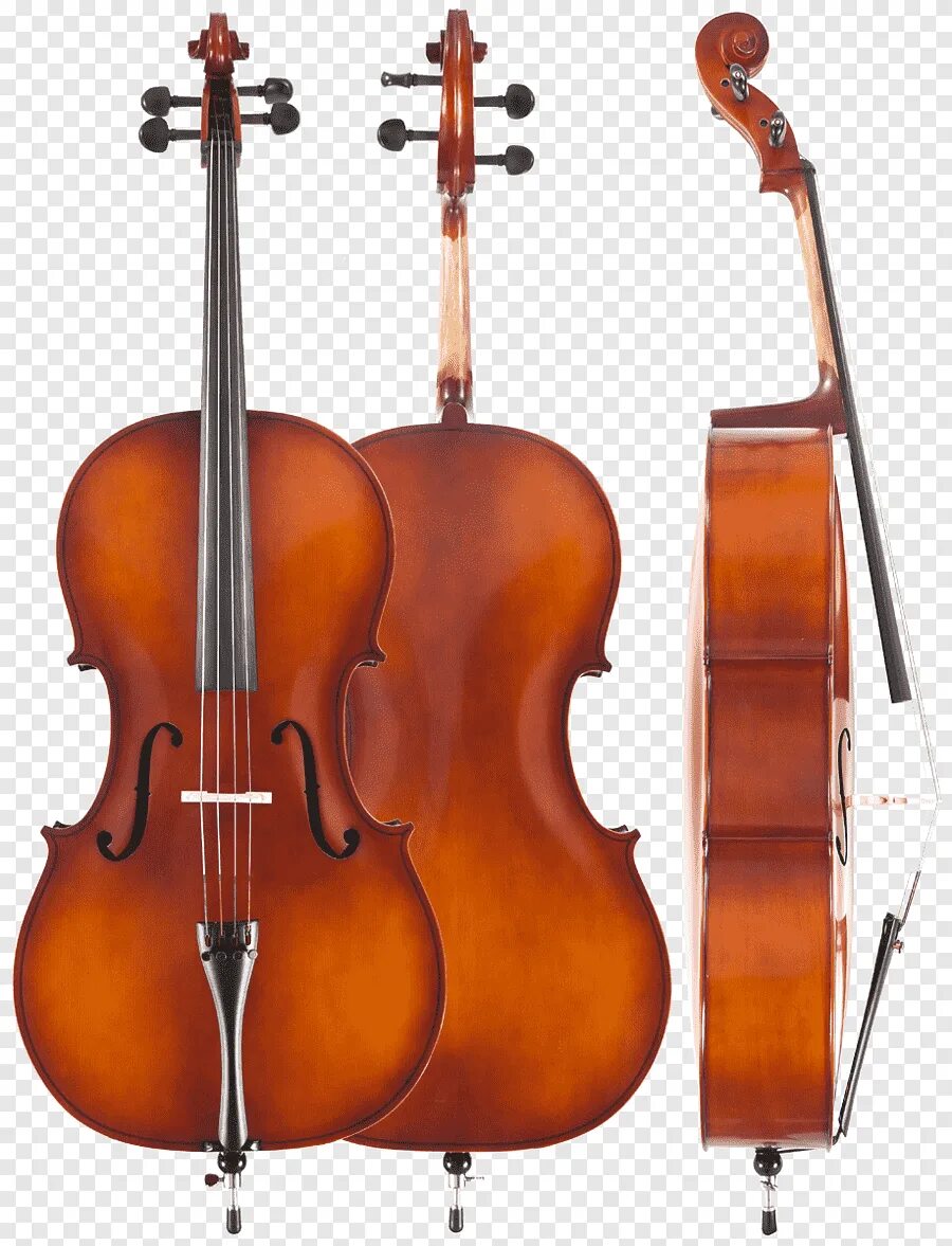 Струнный смычковый музыкальный инструмент какой. Виолончель струнные смычковые музыкальные инструменты. Альт струнные смычковые музыкальные инструменты. Контрабас струнные смычковые музыкальные инструменты. Струнный смычковый инструмент бас.