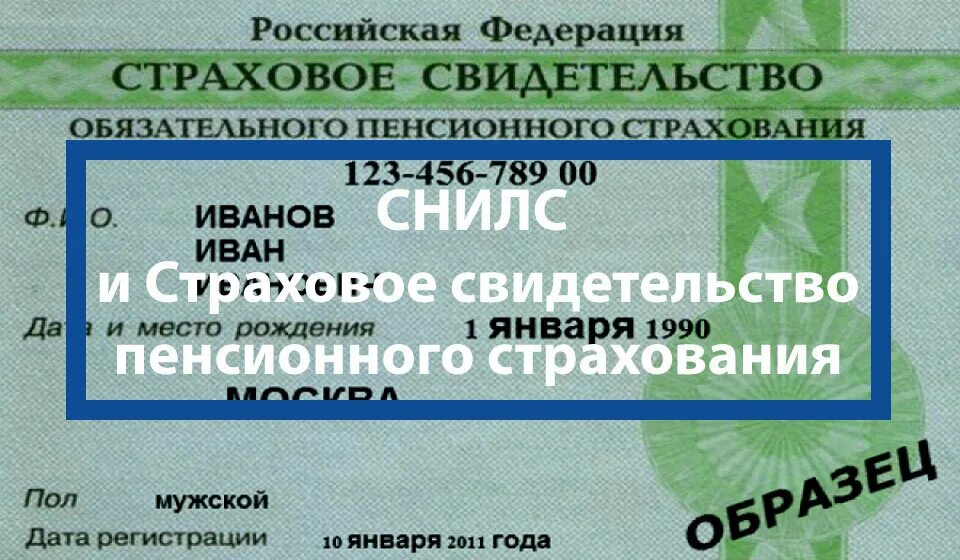 Узнать код пенсионного и социального страхования. Страховое свидетельство государственного пенсионного страхования. СНИЛС это страховое свидетельство. Страховой номер индивидуального лицевого счёта. Пенсионный СНИЛС.