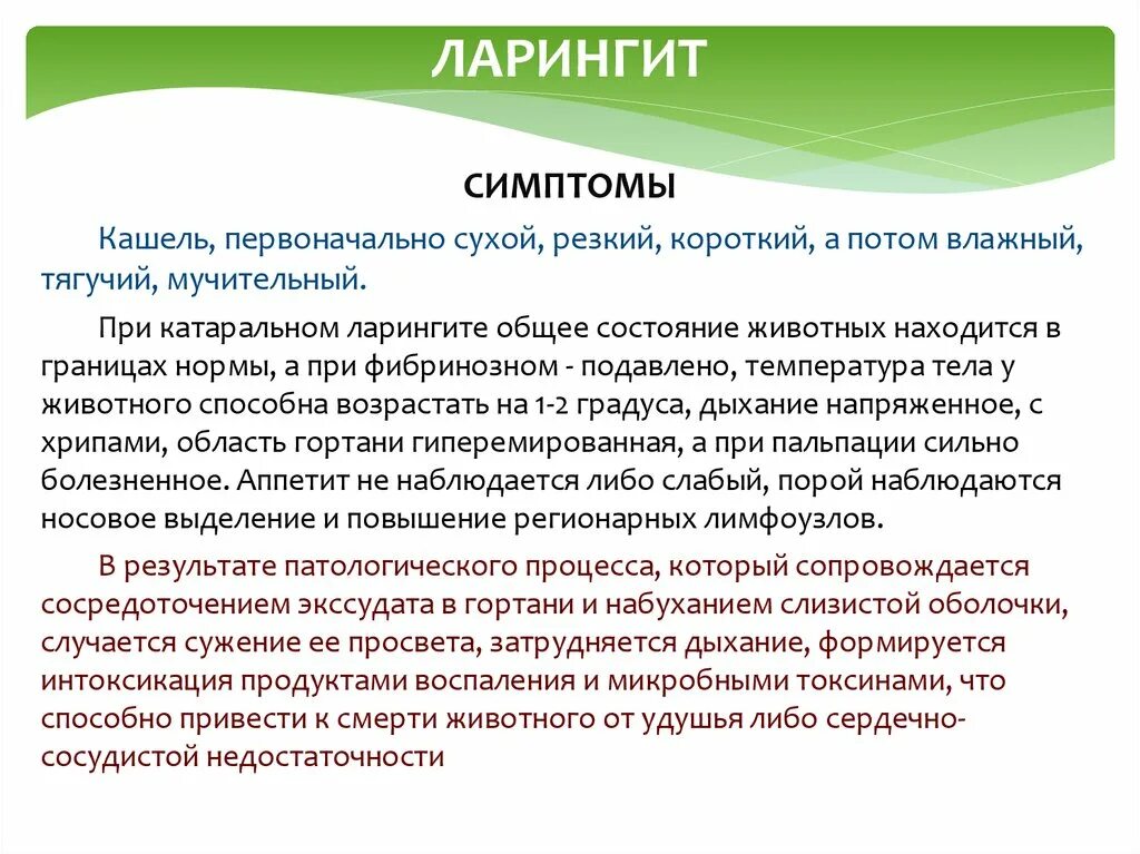 Ларингит и сухой кашель лечение у взрослых. Симптомы ларингита у взрослого. ларингит причины симптомы.