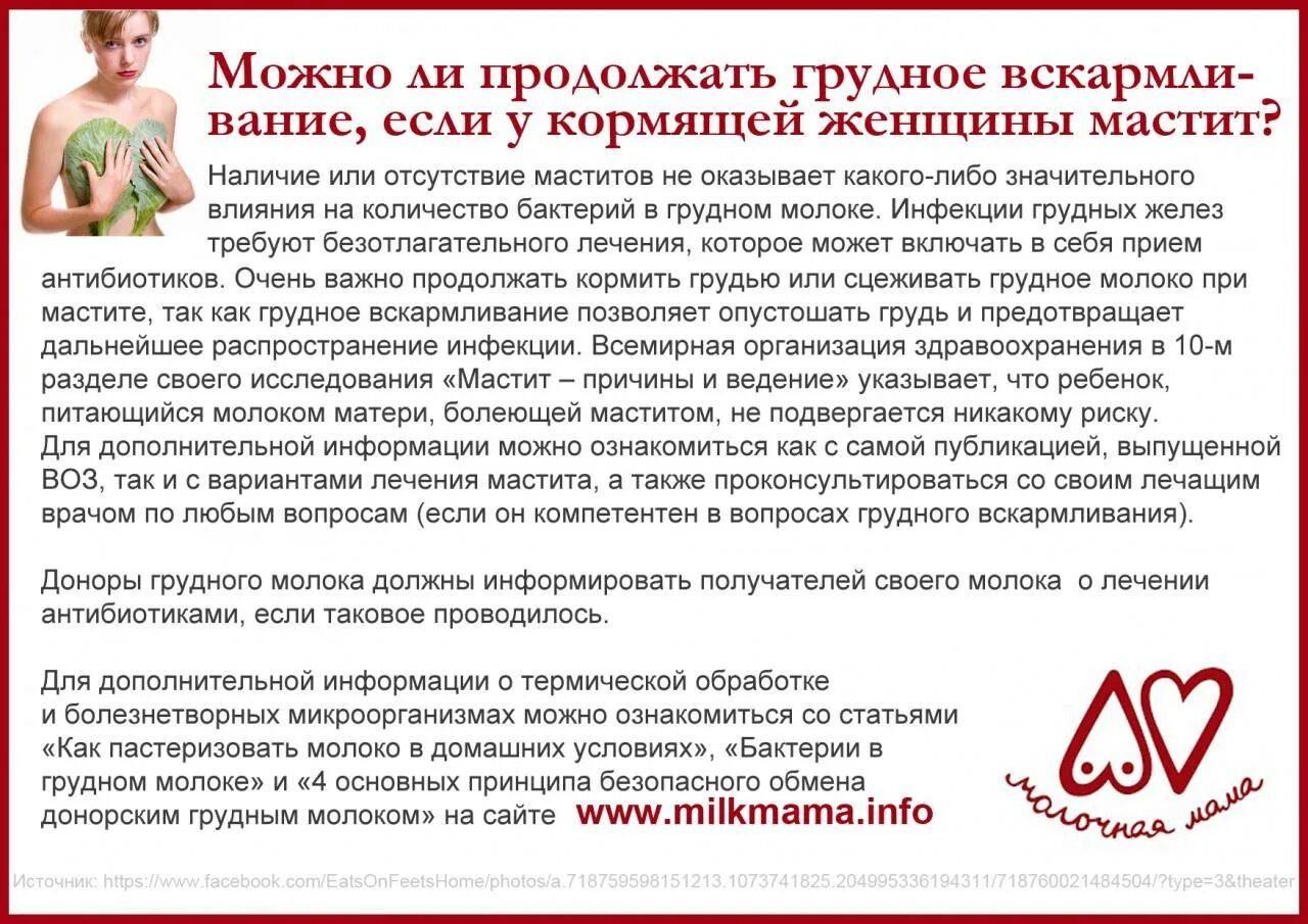 Кормить при температуре 38. Мастит при грудном вскармливании симптомы. можно ли кормить при мастите. кормление при мастите у кормящей мамы.