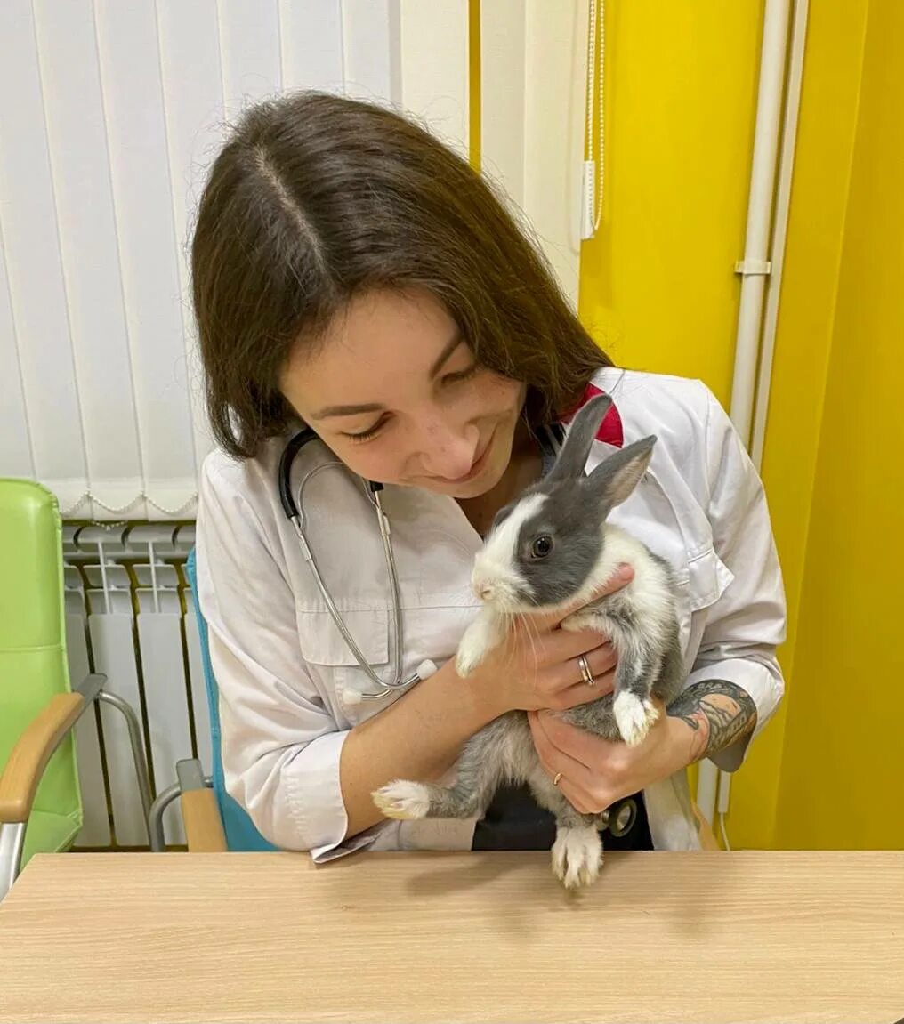 чреспищеводная эхокардиография. Evc европейский ветеринарный центр магистральная. европейский ветеринарный центр evc. европейский ветеринарный центр evc. европейский ветеринарный центр evc.