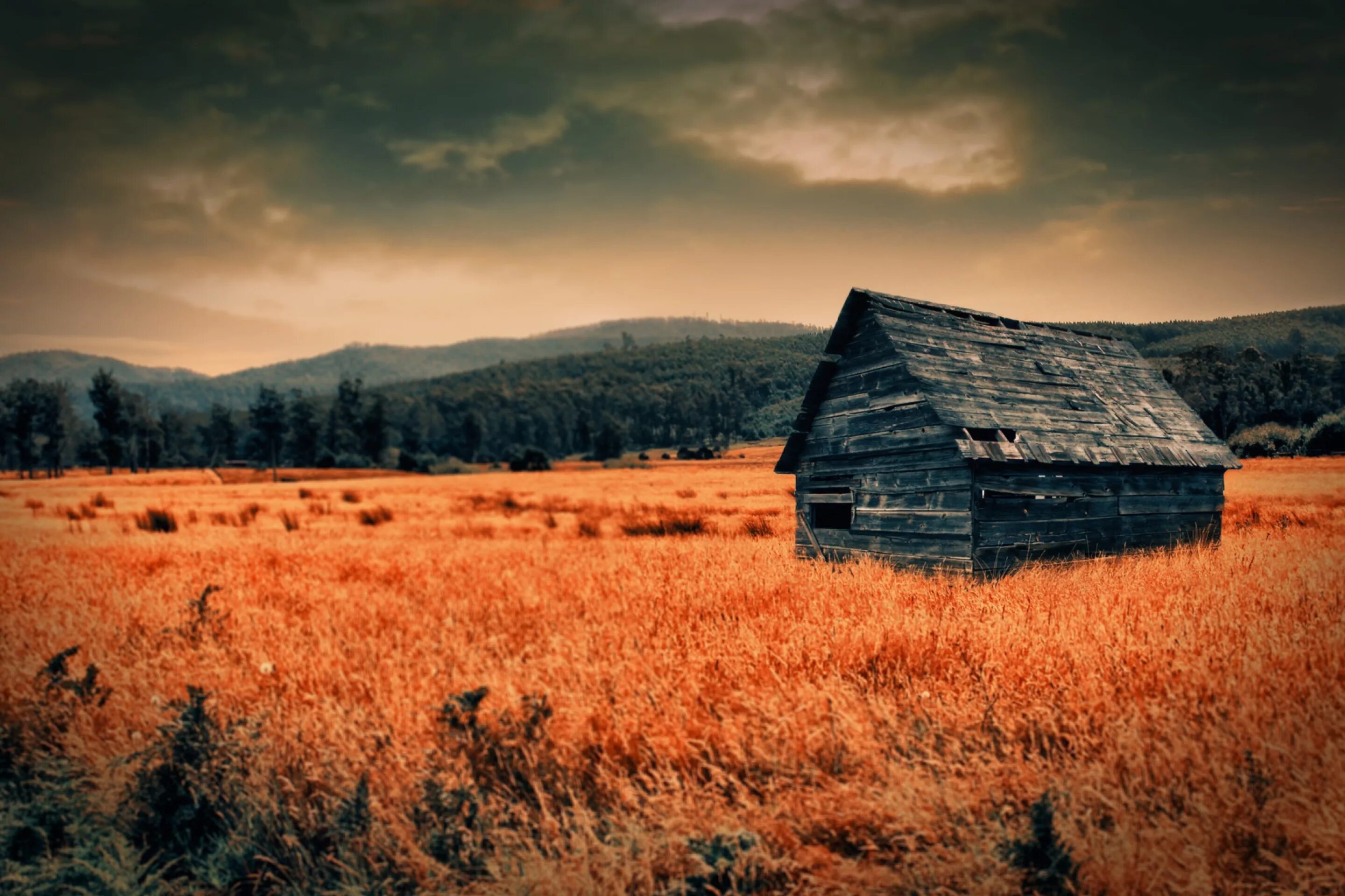 Одинокий холм. Одинокий дом в поле. Изба в поле. Домик в поле. Одинокий домик в поле.