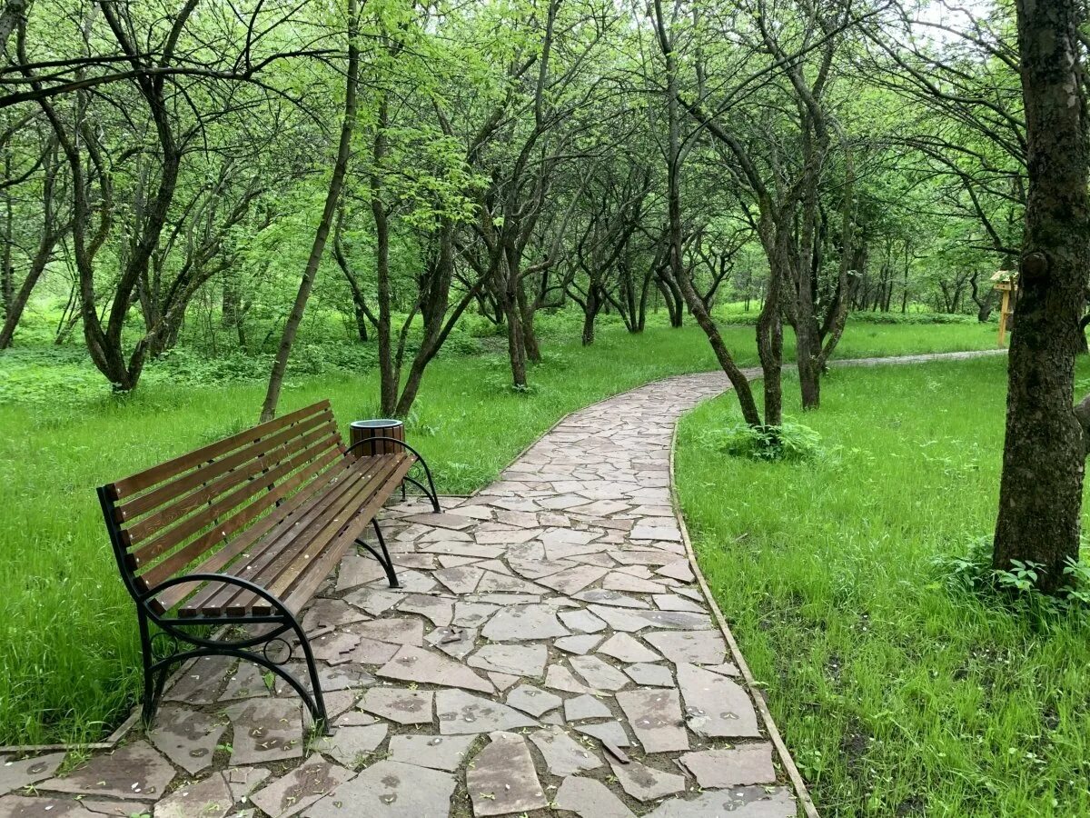 природного заказника реки сетунь. природного заказника реки сетунь. долина реки сетунь москва парк. заповедник долины реки сетунь. заказник долина реки сетунь.